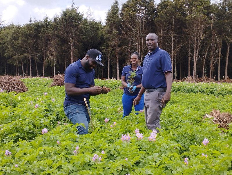 Tree Planting 2023 Kimende